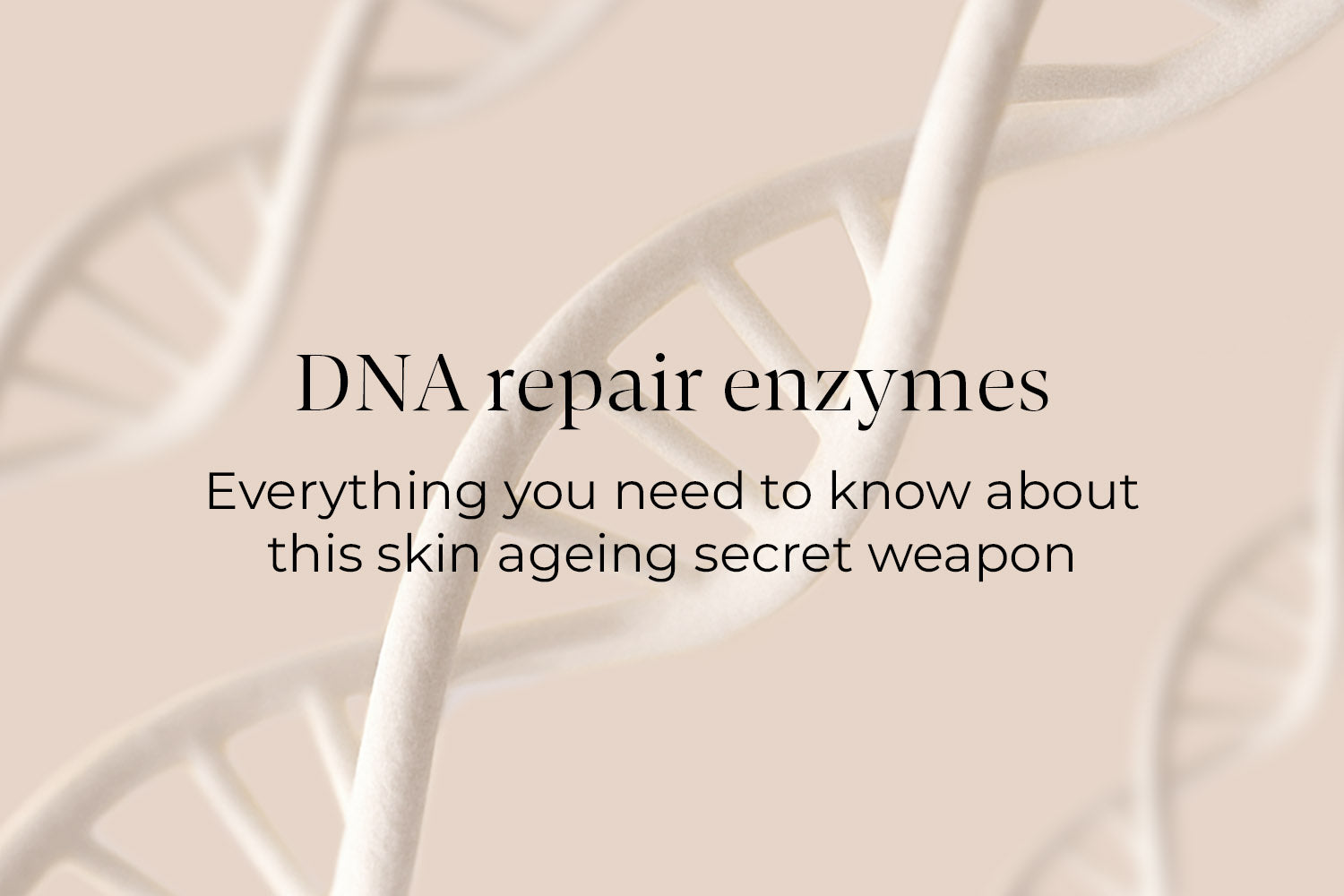The skin ageing secret weapon: DNA repair enzymes