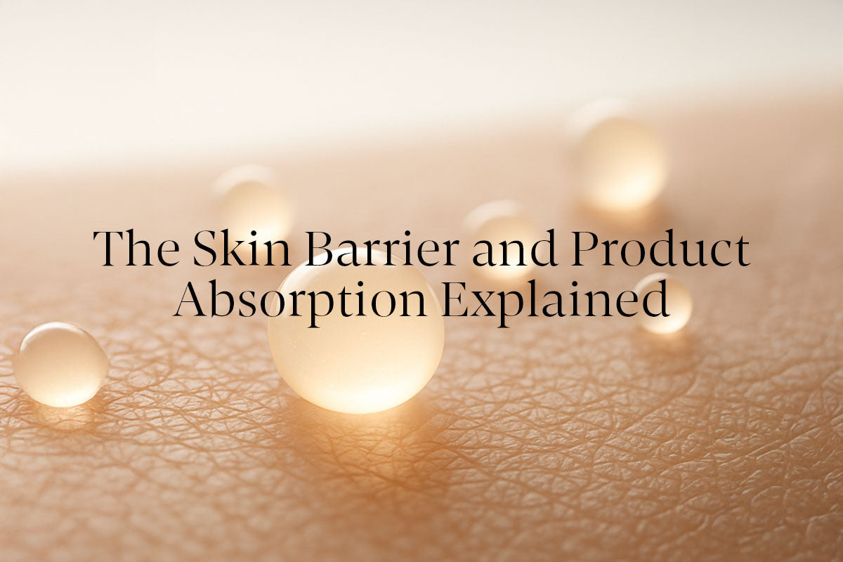 The Skin Barrier and Product Absorption Explained