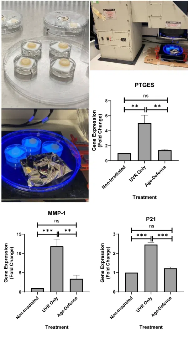 Cellular level study results
