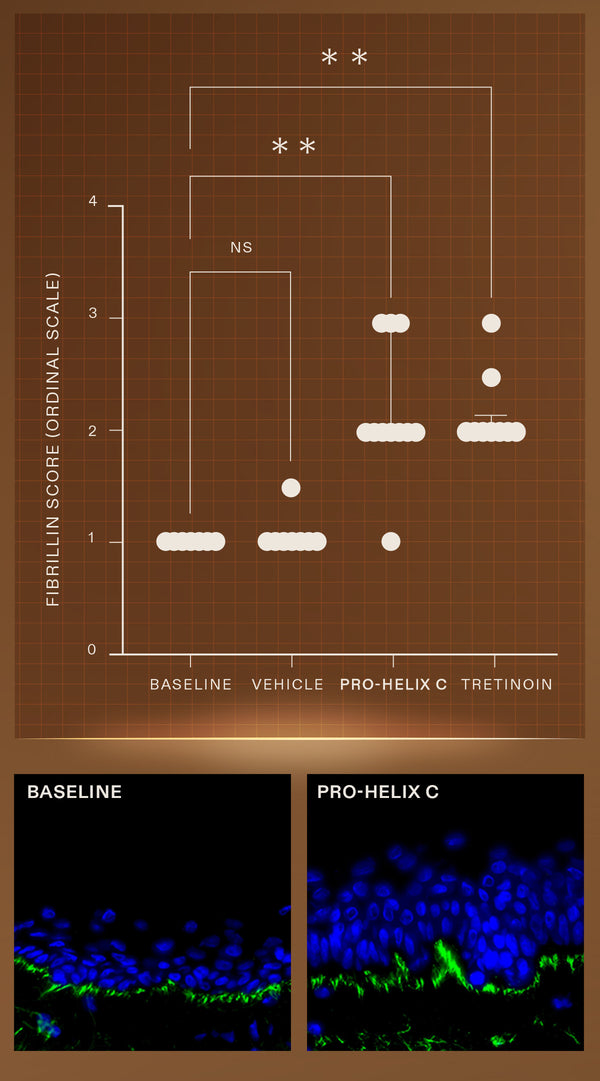 Cellular level study results