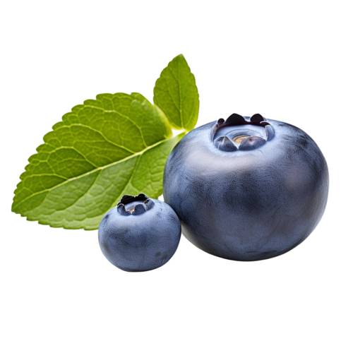 Bilberry Extract