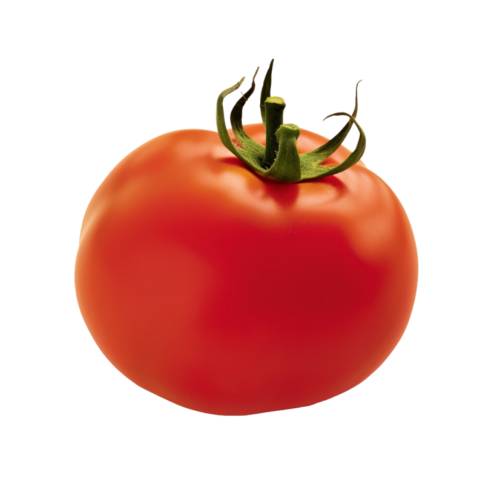 Hydrolysed Tomato Skin